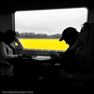 En dag, en bild, ett fält. Mitt i nuet. Mitt i livet.